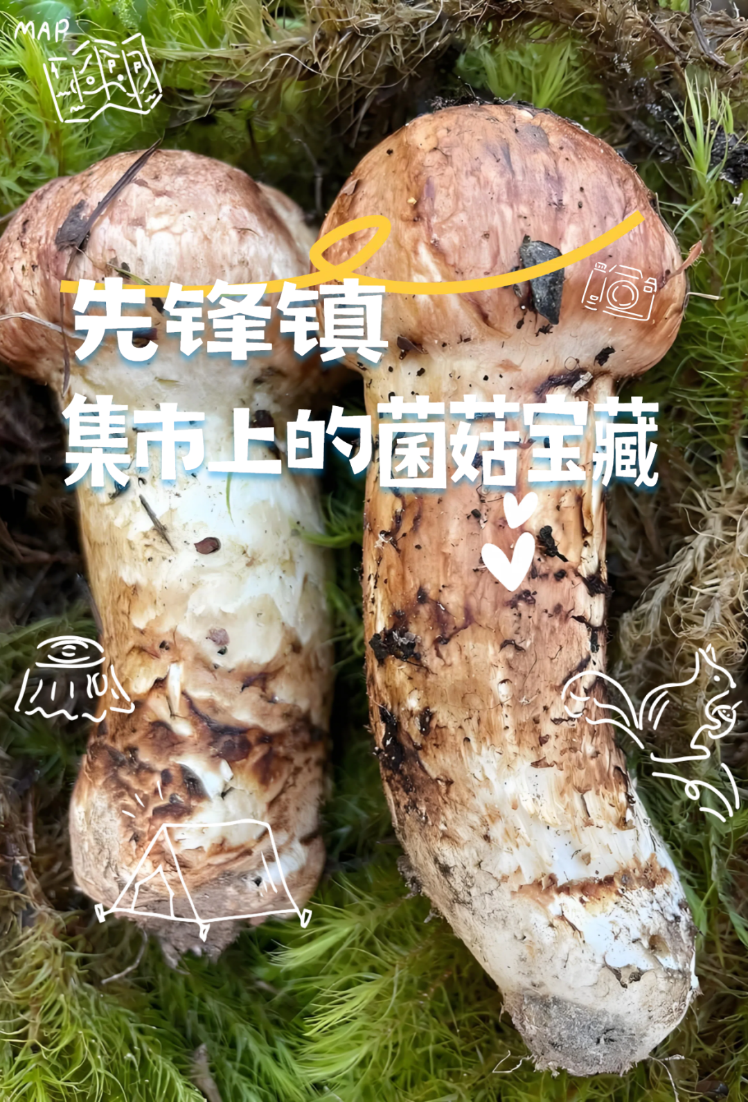 昆明文旅