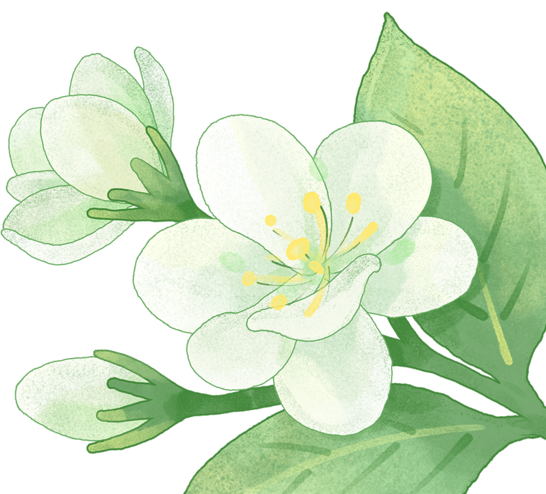 昆明广播电视台