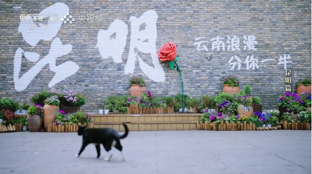 FM954昆明汽车音乐广播