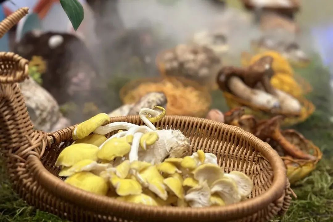 晋宁 诗意的栖居地