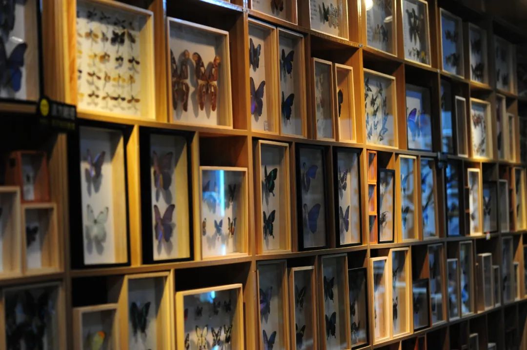 昆明市金殿名胜区