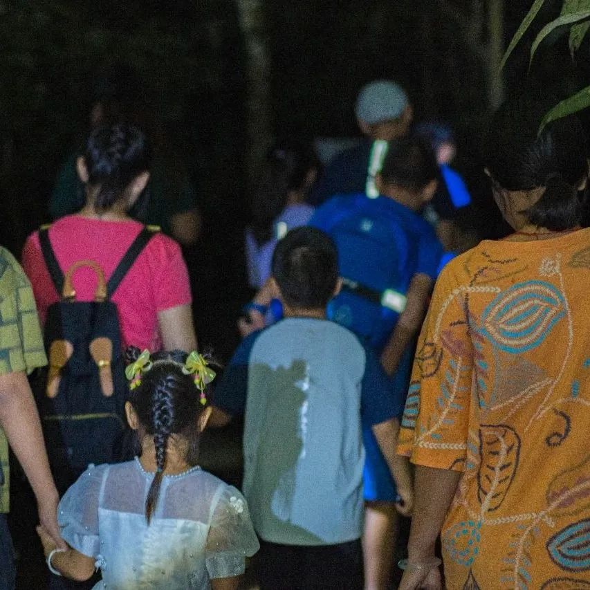 西双版纳望天树景区