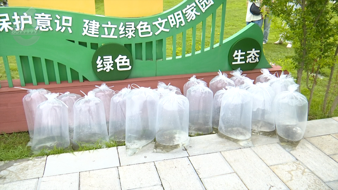 8099999街头巷尾微信