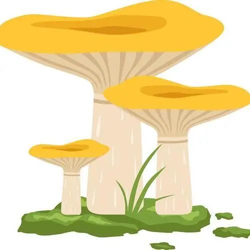 云南省第三人民医院