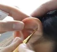 云南省中医医院