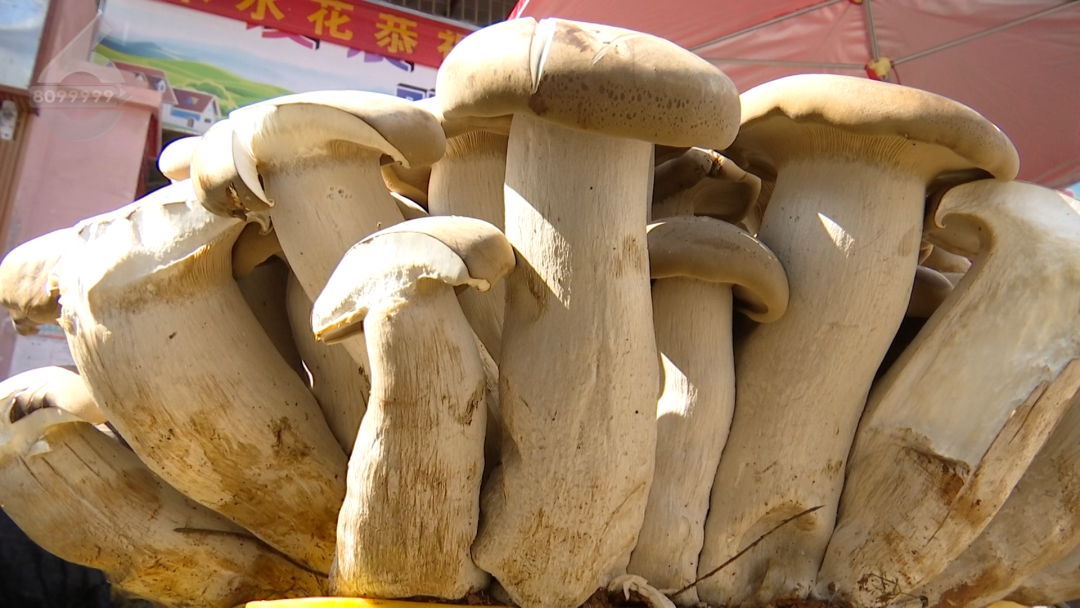 昆明广播电视台