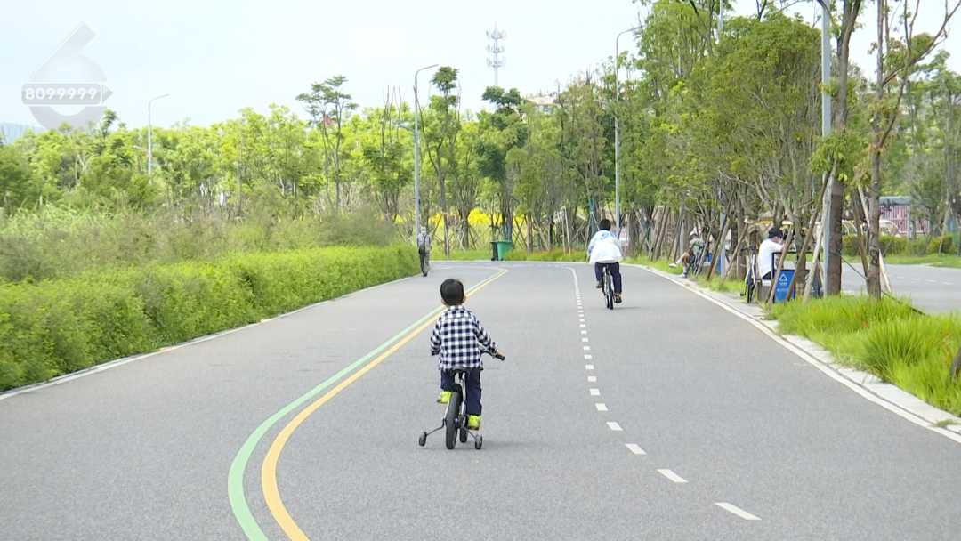 8099999街头巷尾微信