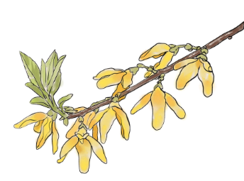 昆明市中医医院