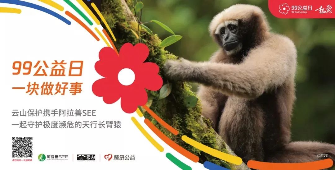 红河文旅