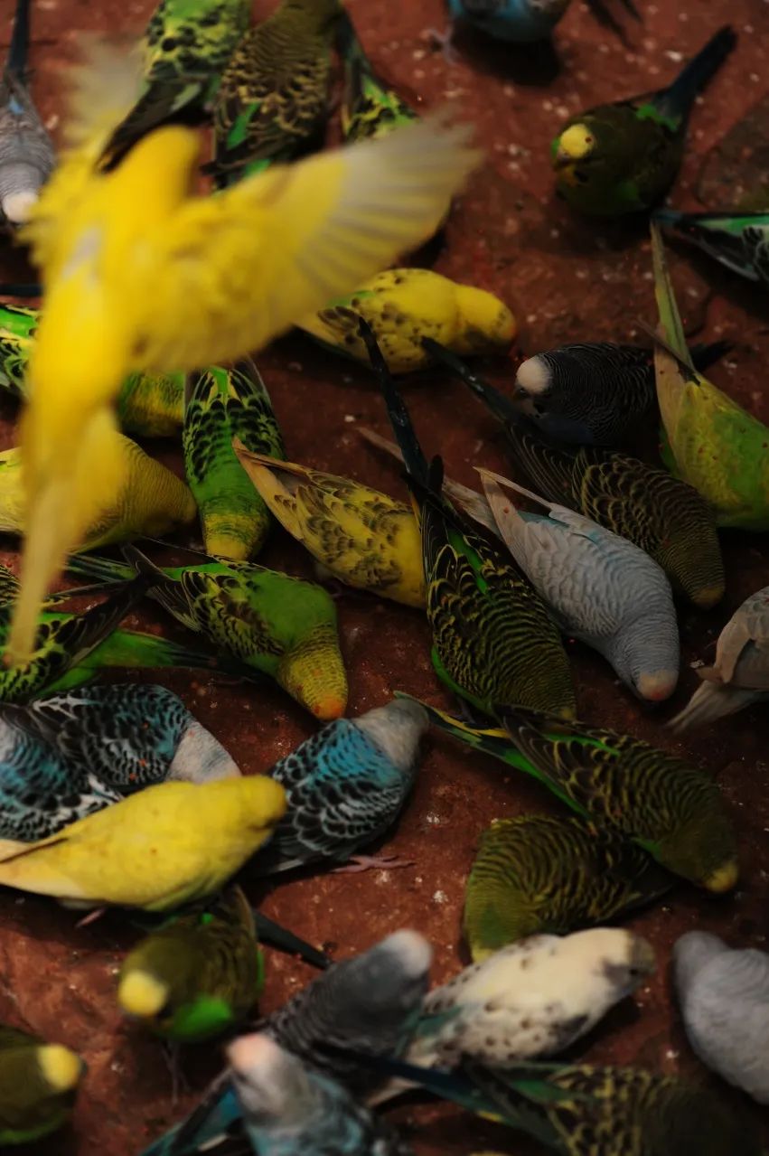 昆明市金殿名胜区