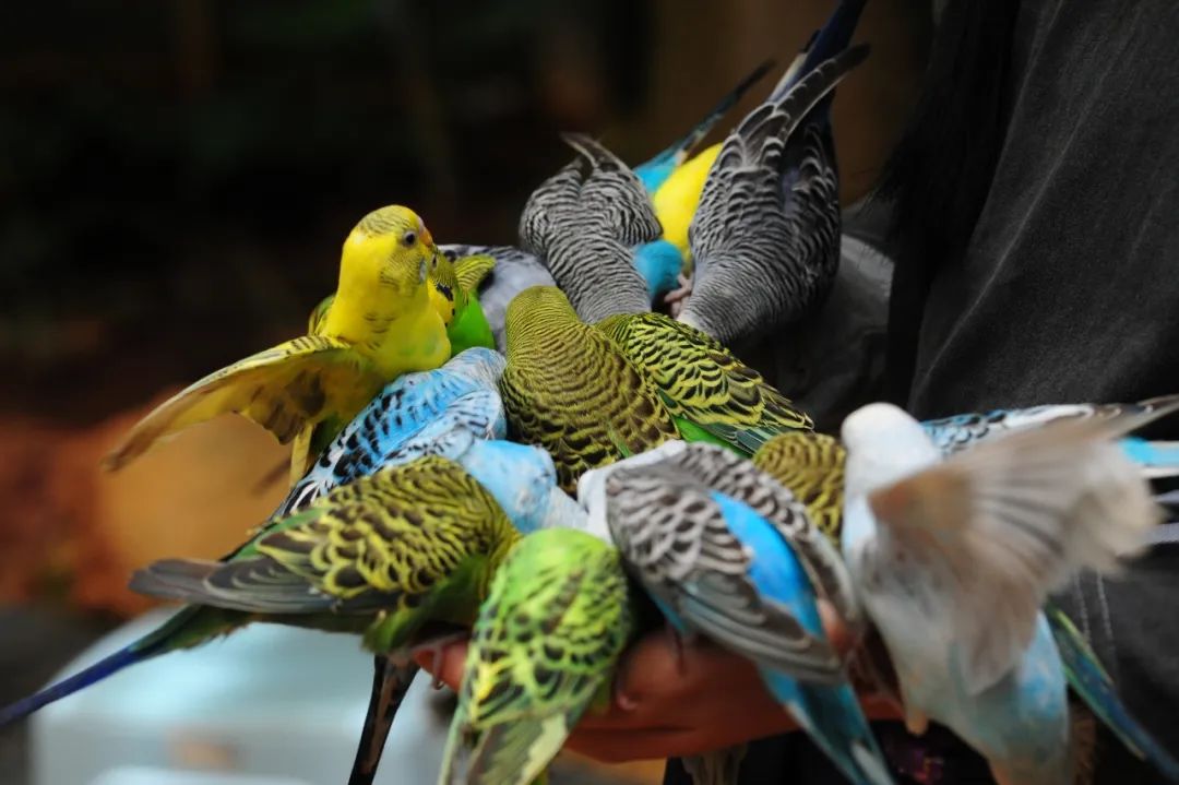 昆明市金殿名胜区