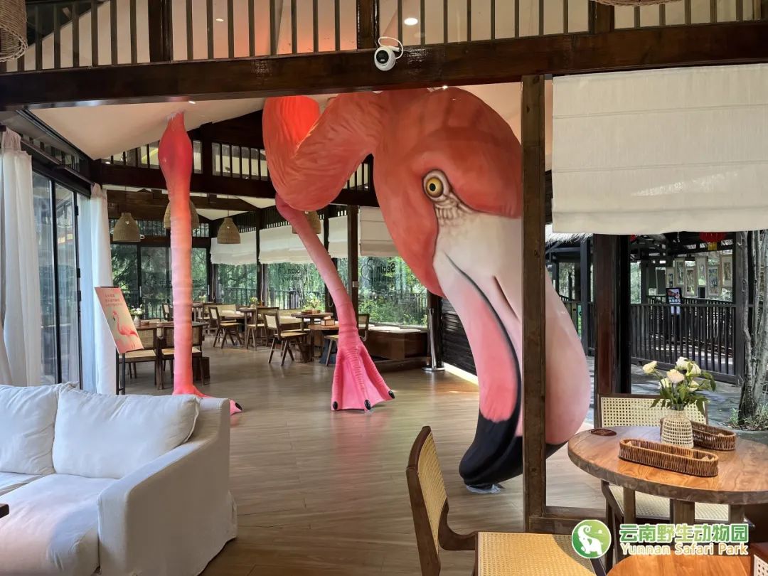 云南野生动物园