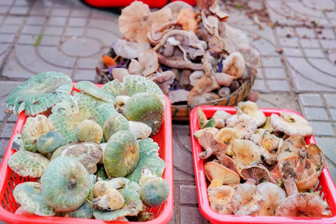 晋宁 诗意的栖居地