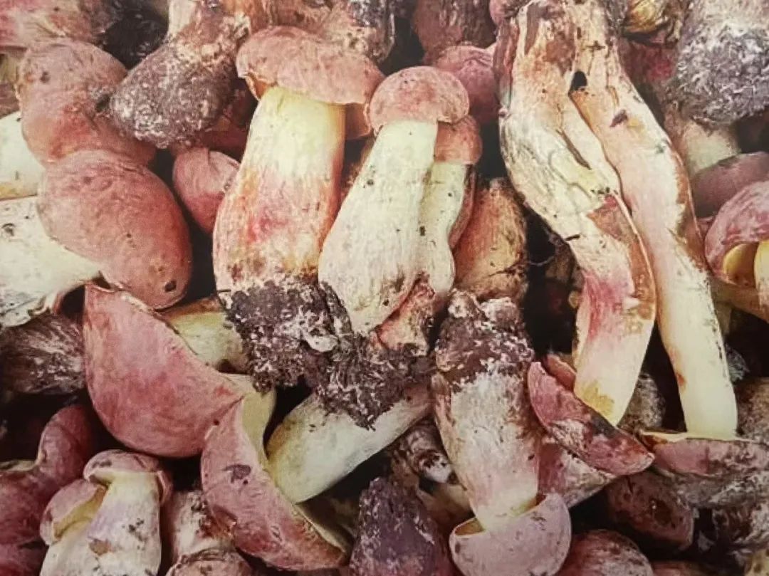 云南省第三人民医院