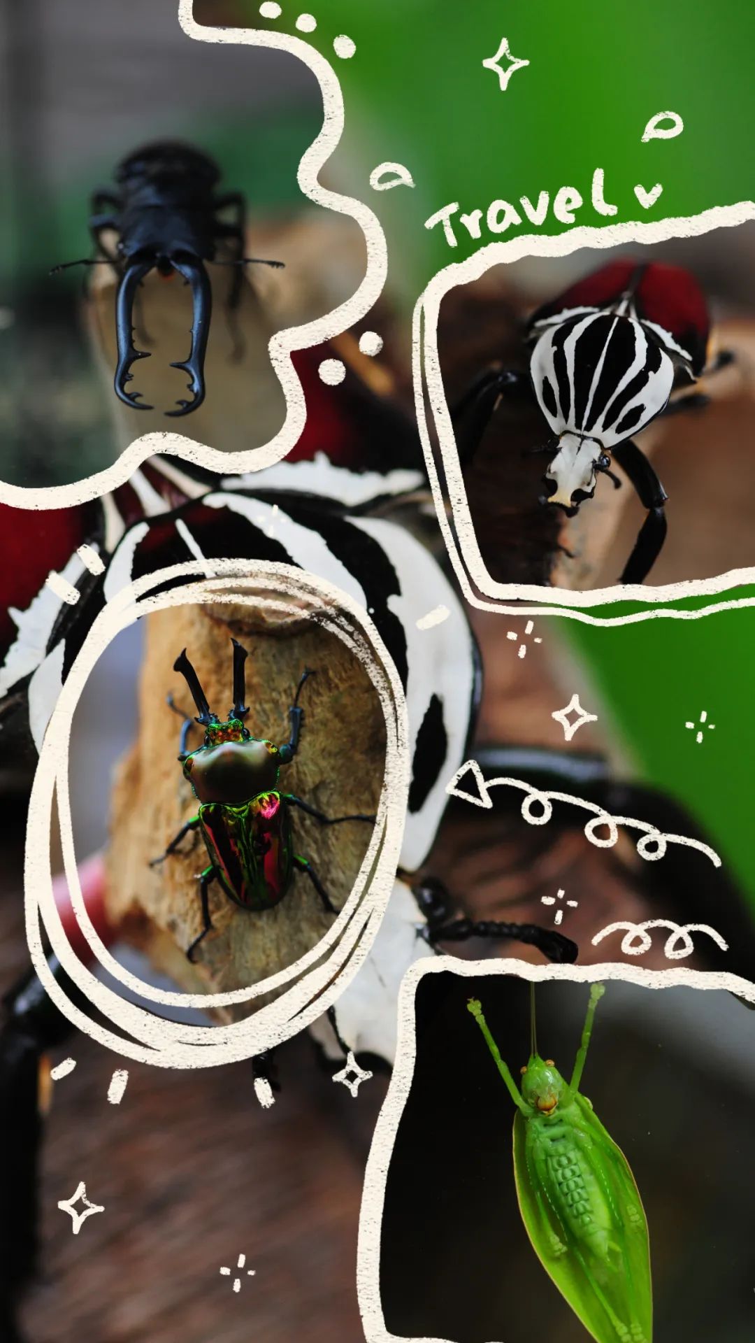 昆明市金殿名胜区