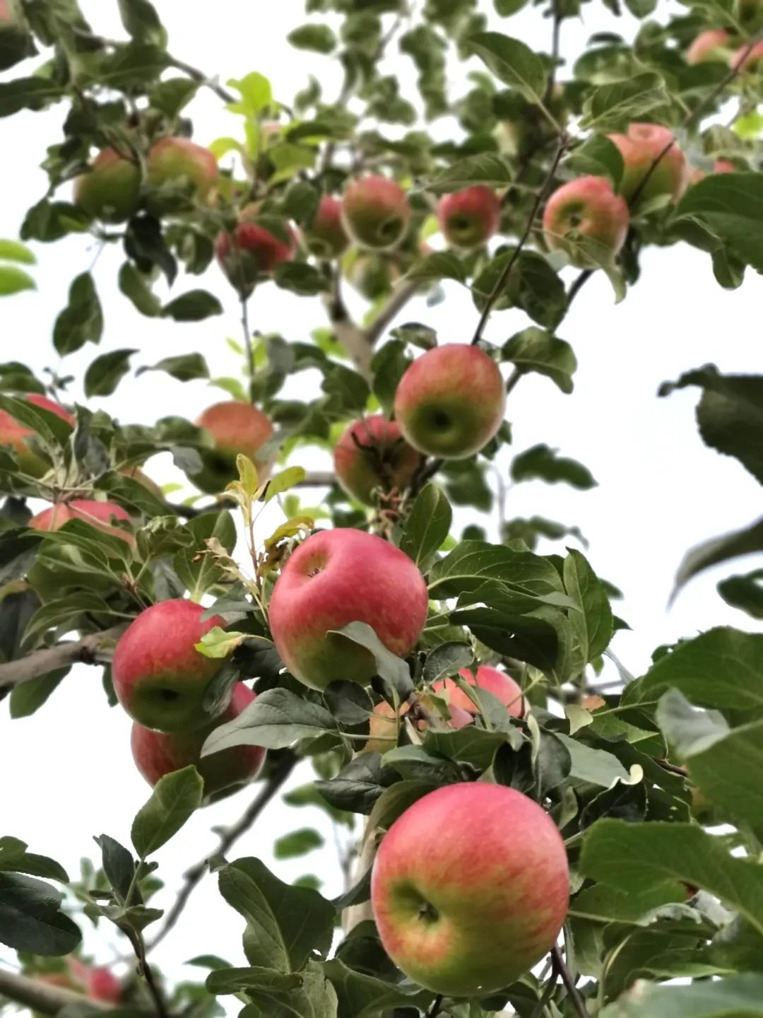 晋宁 诗意的栖居地