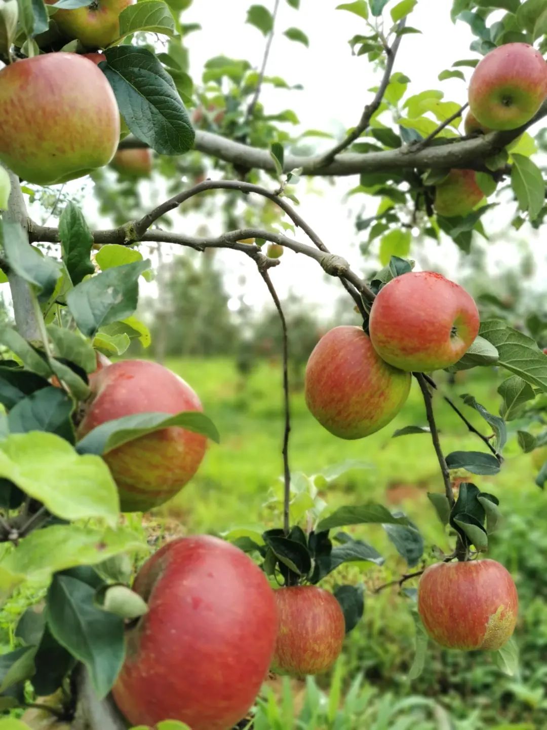 晋宁 诗意的栖居地