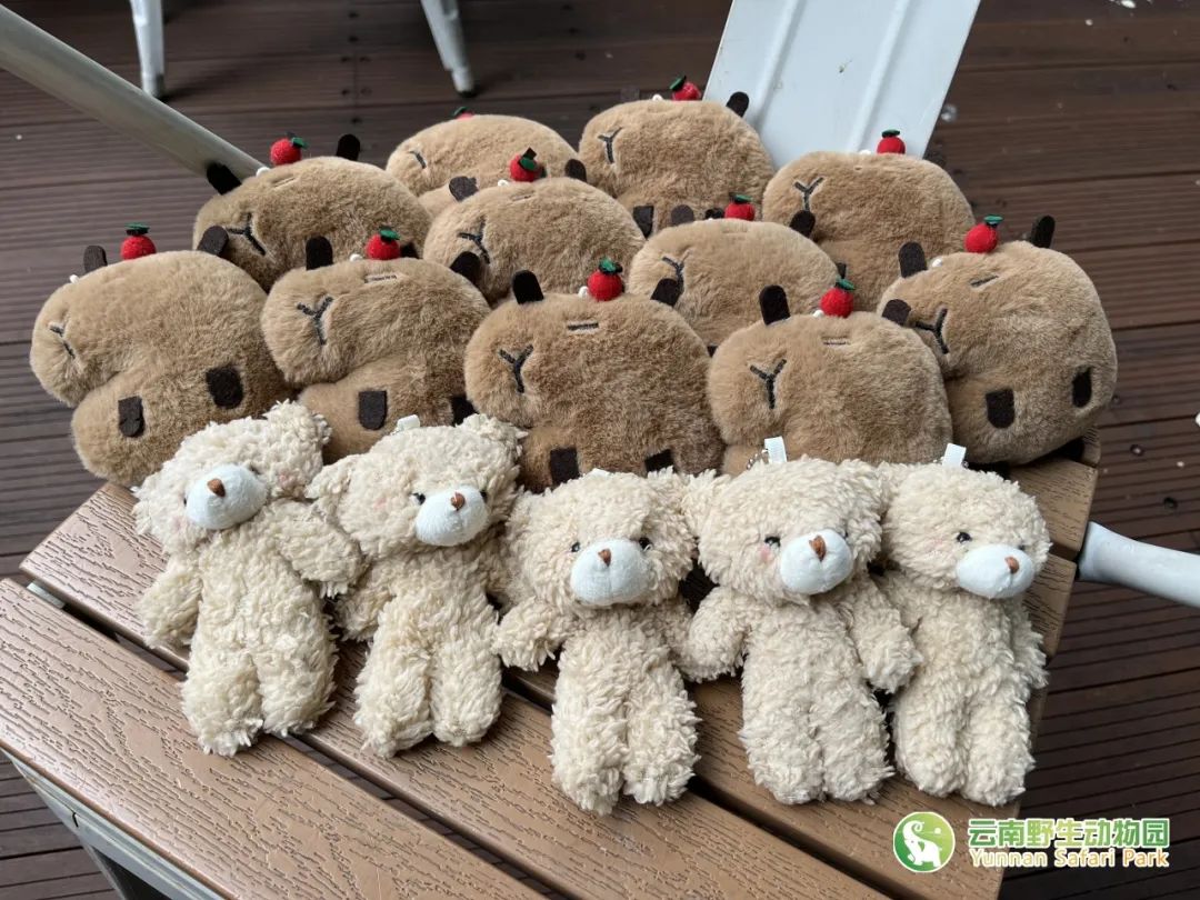 云南野生动物园