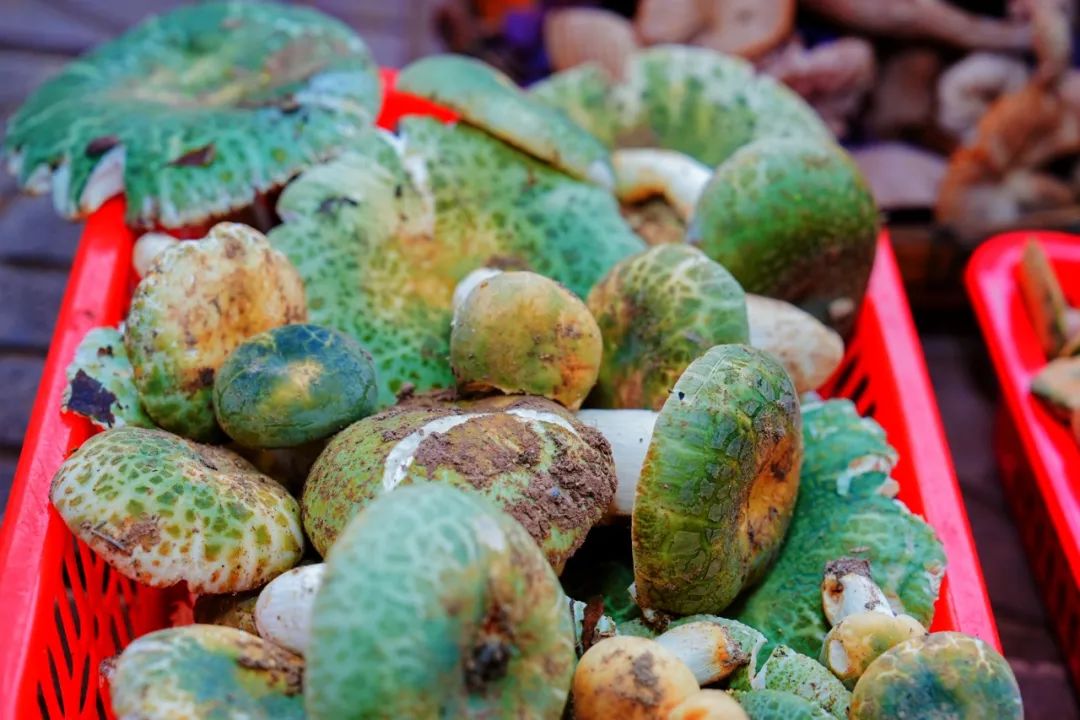 晋宁 诗意的栖居地