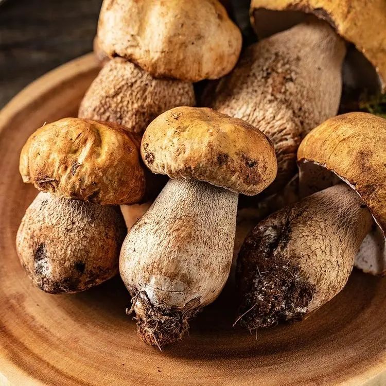 昆明市中医医院