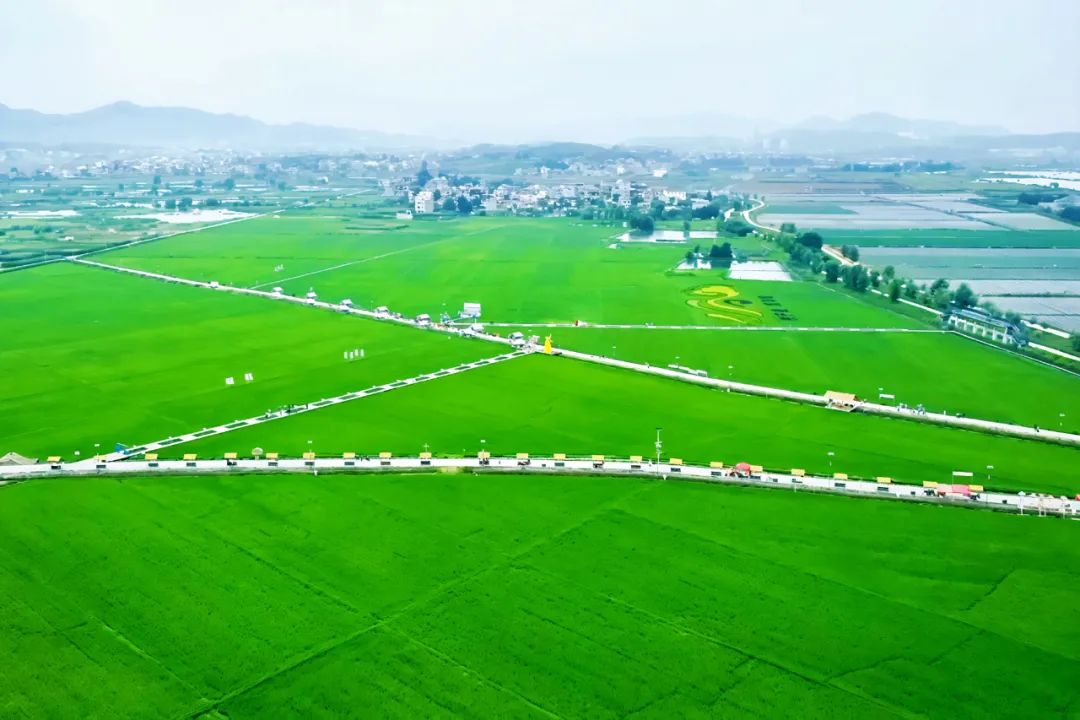 昭通日报
