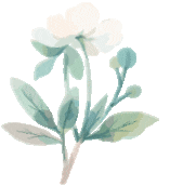 昆明阳宗海风景名胜区