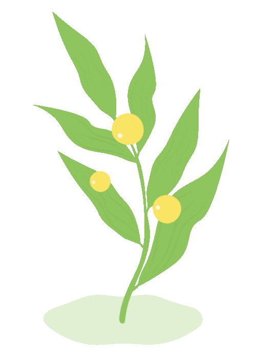 昆明市中医医院