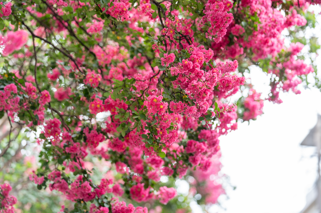 晋宁 诗意的栖居地