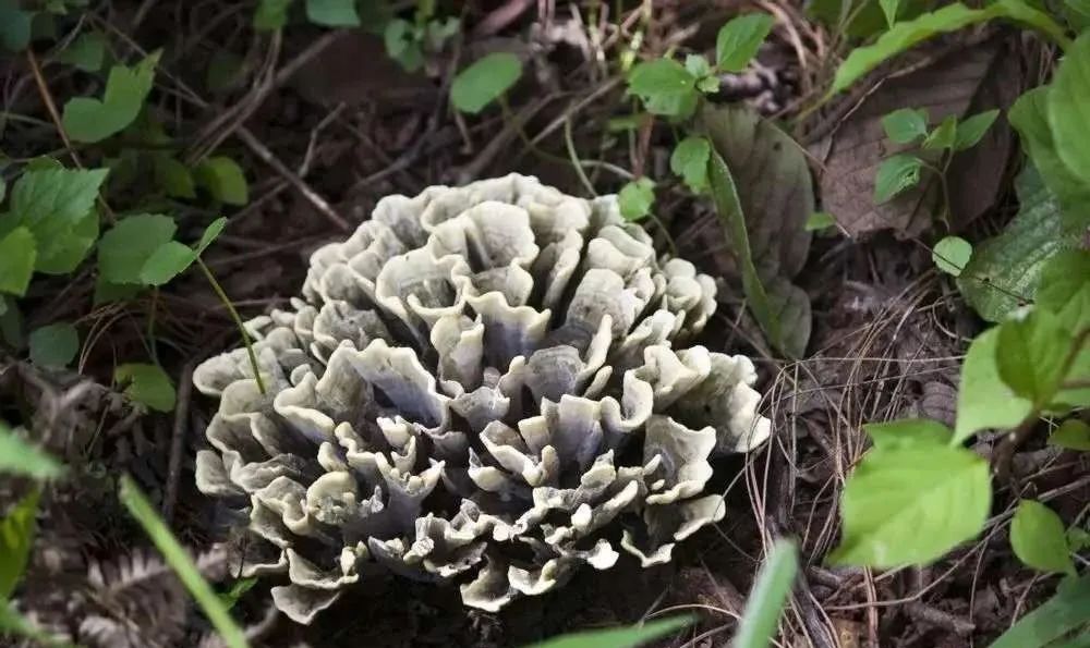 晋宁 诗意的栖居地