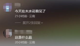 8099999街头巷尾微信