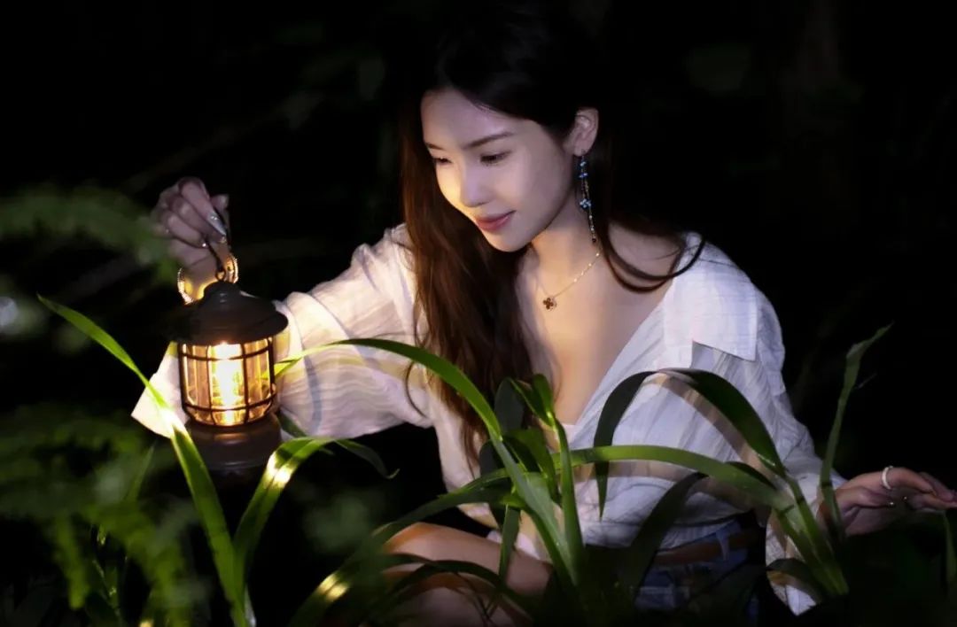 西双版纳望天树景区