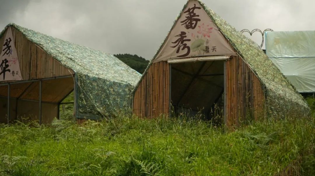街头巷尾