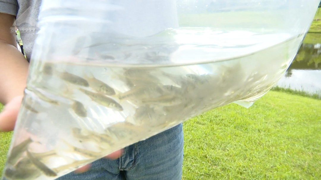 8099999街头巷尾微信