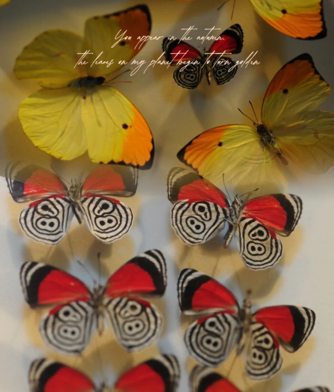 昆明市金殿名胜区