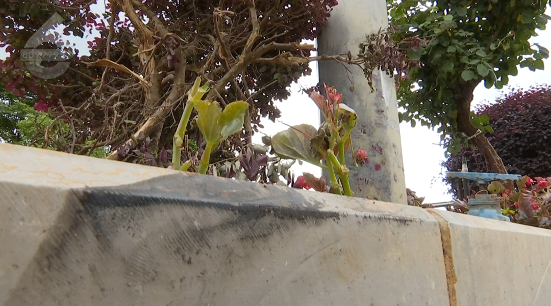 8099999街头巷尾微信