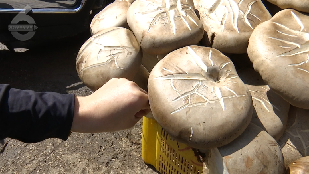 8099999街头巷尾微信