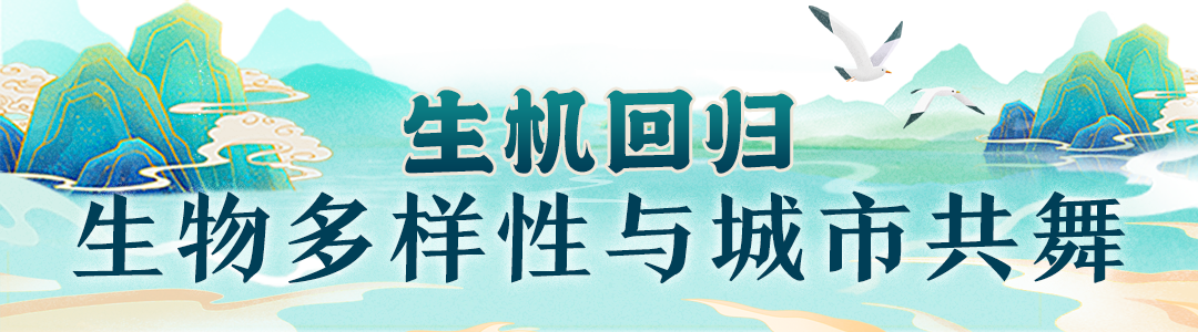 昆明广播电视台