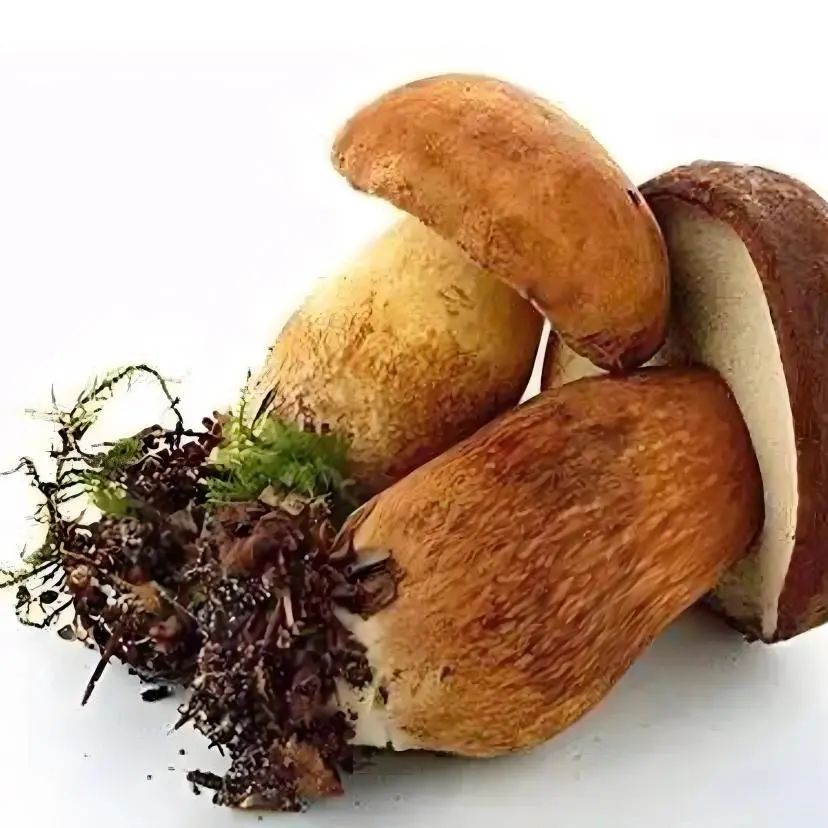 云南省第三人民医院