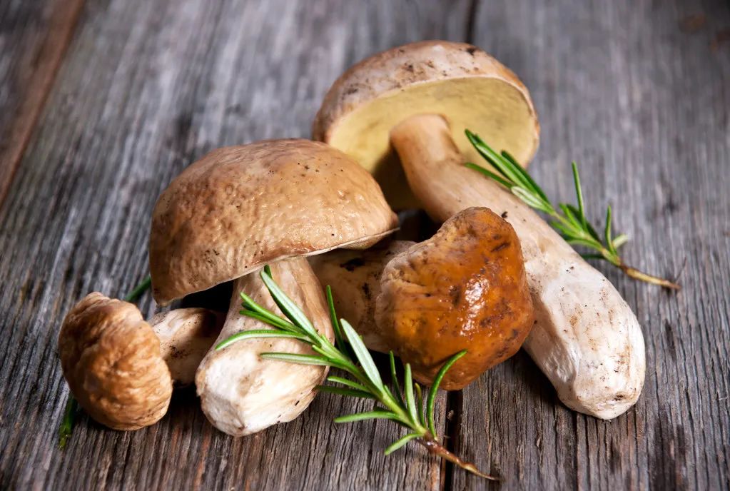 昆明市中医医院