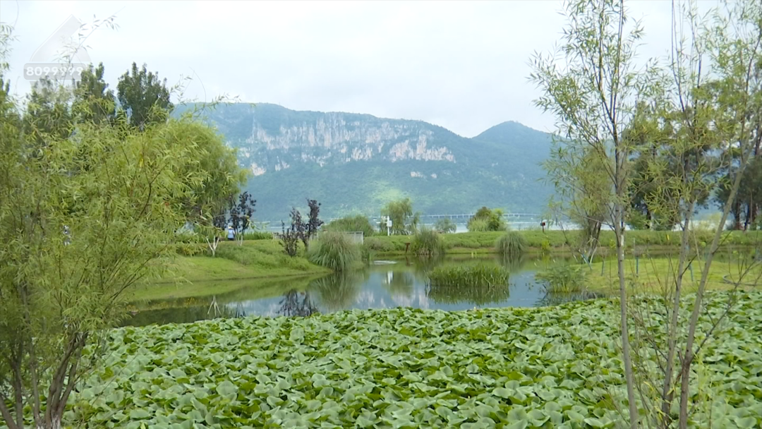 8099999街头巷尾微信