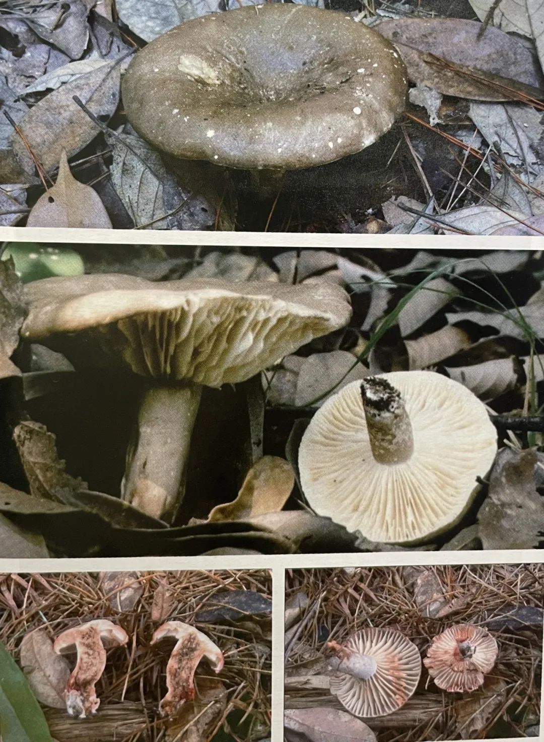 云南省第三人民医院