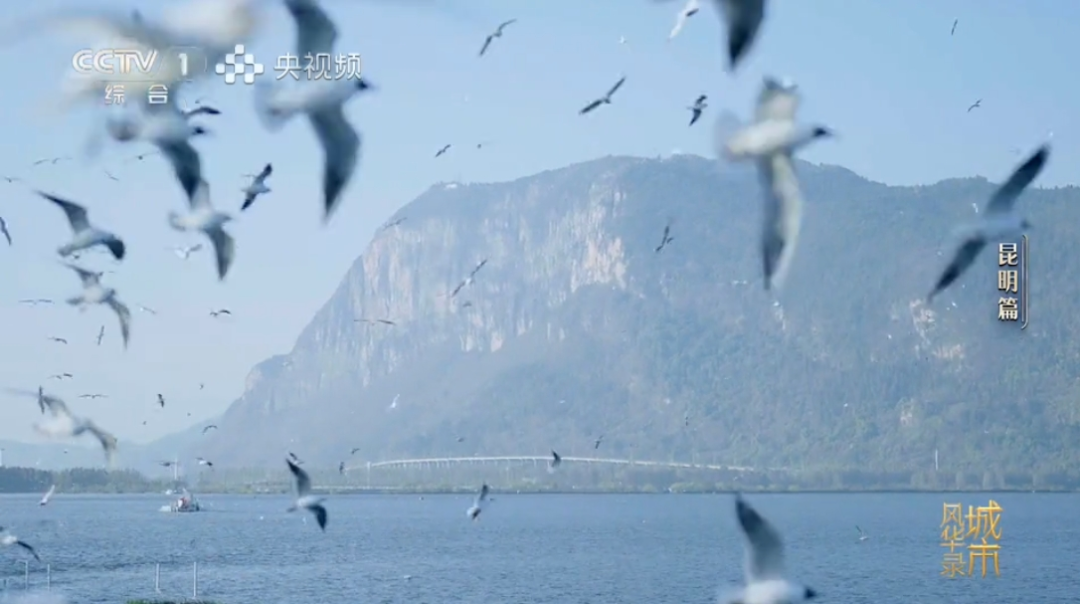 FM954昆明汽车音乐广播