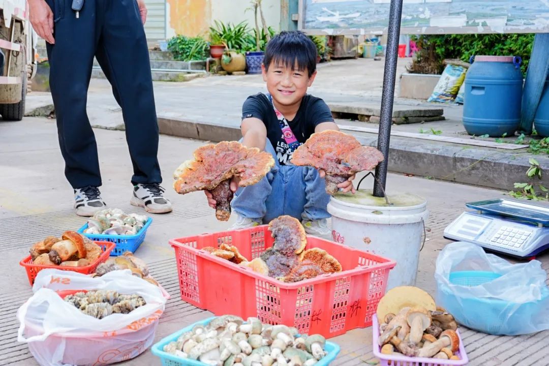晋宁 诗意的栖居地