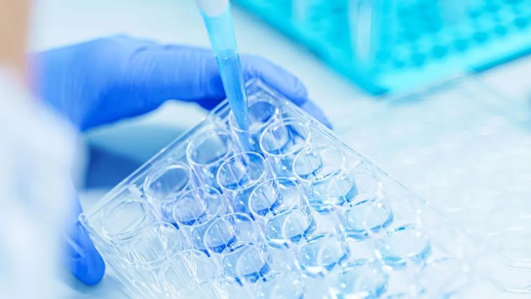 昆明国家高新区发布