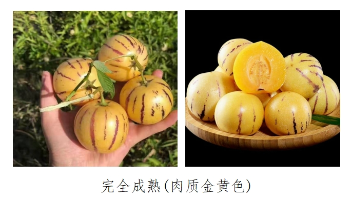 石林融媒