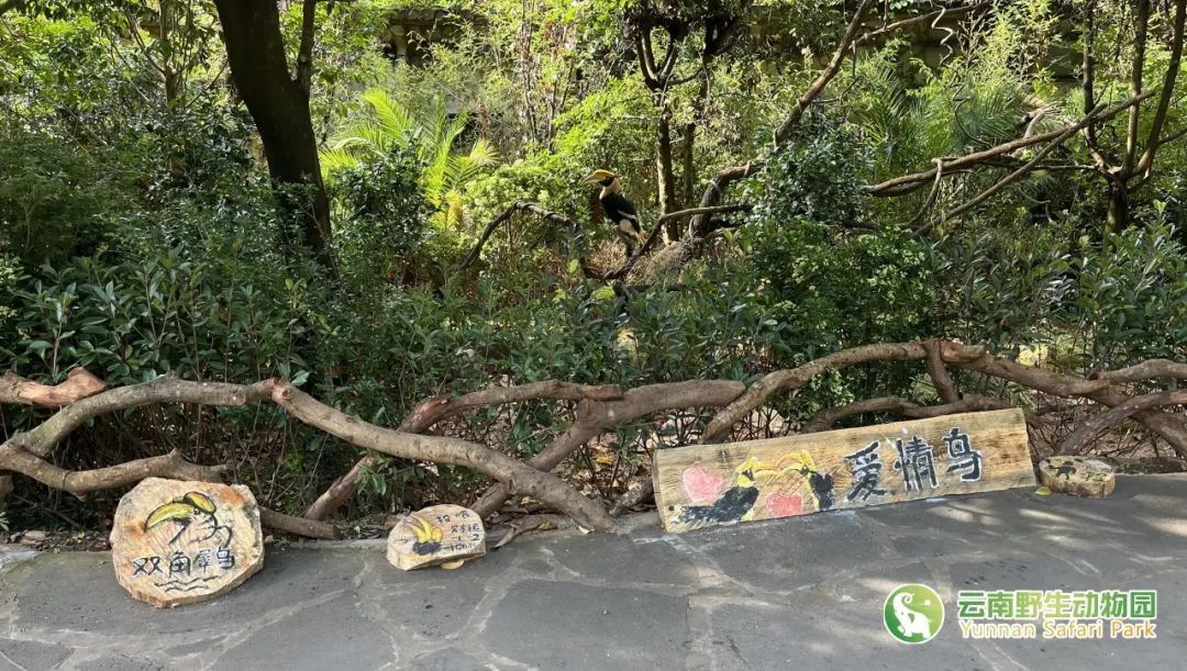 云南野生动物园