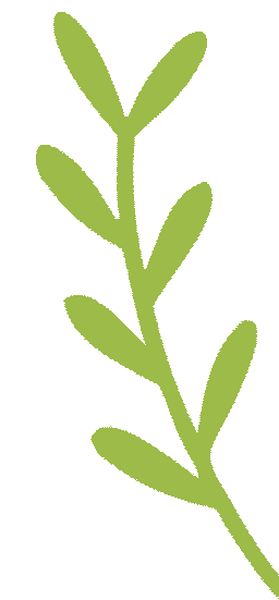 云南省中医医院