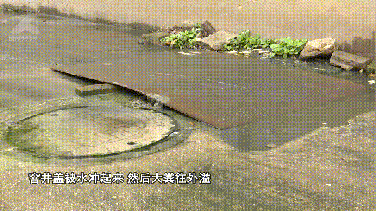 8099999街头巷尾微信