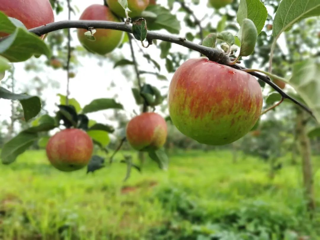 晋宁 诗意的栖居地