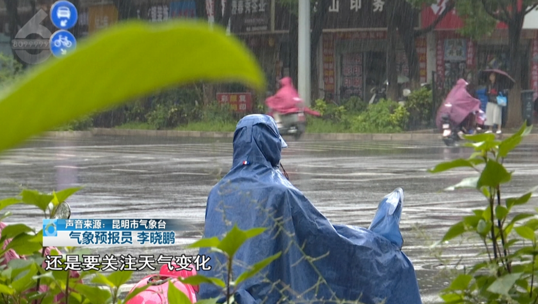 8099999街头巷尾微信